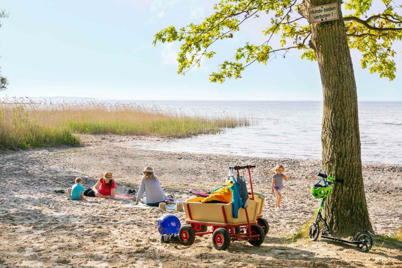 Mueritzparadies - Feriendorf Alte Fahrt Rechlin Extérieur photo
