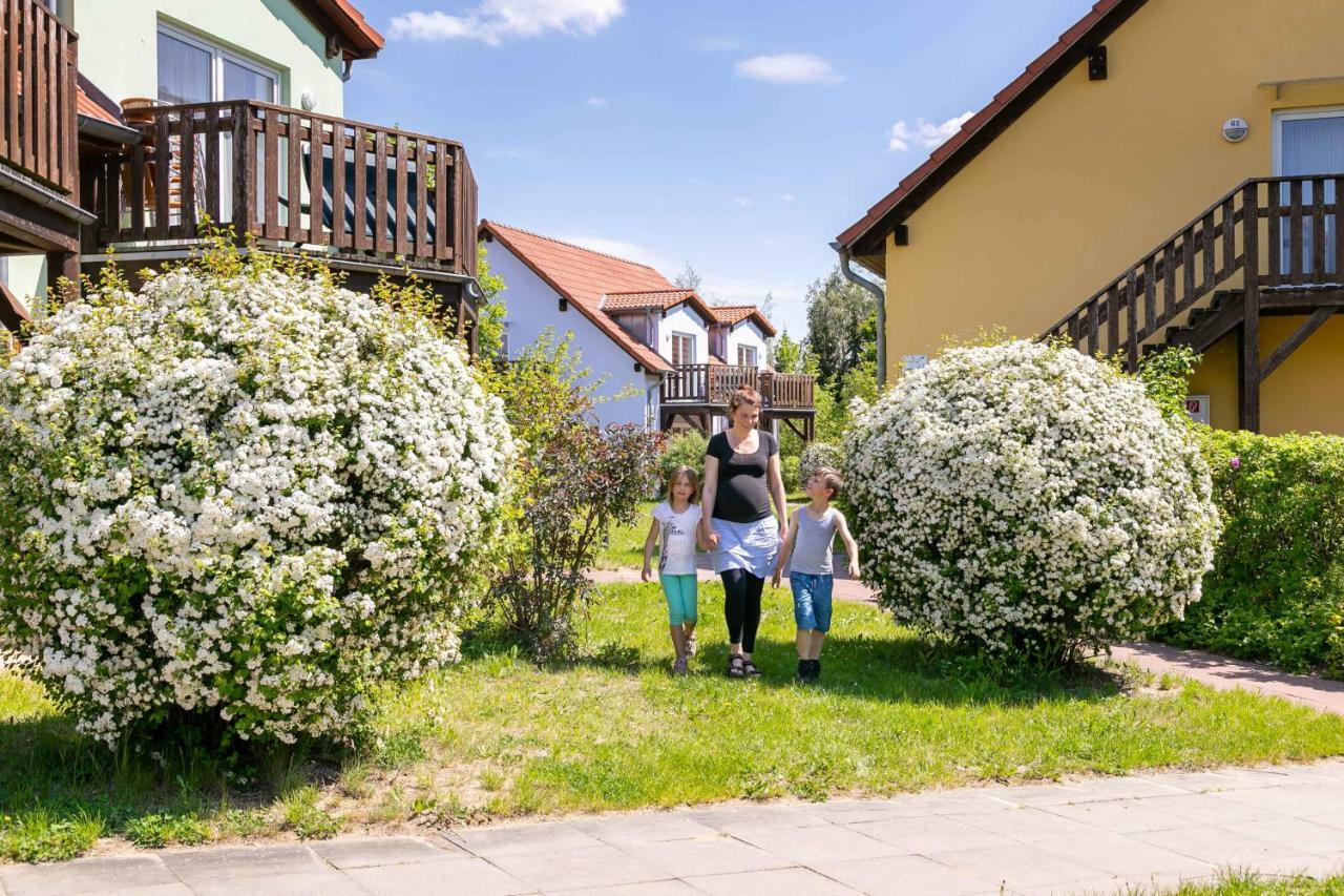 Mueritzparadies - Feriendorf Alte Fahrt Rechlin Extérieur photo